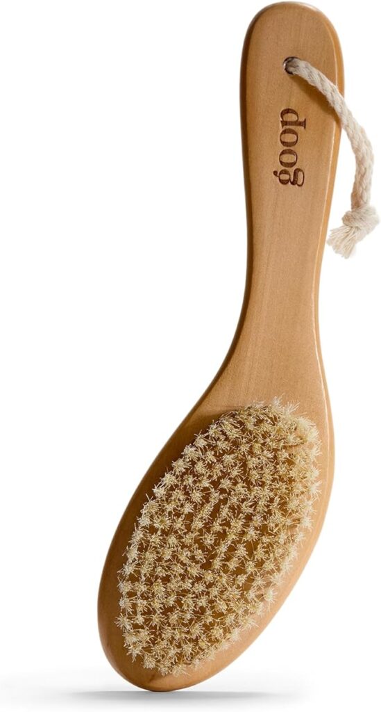 Goop Beauty Dry Brush